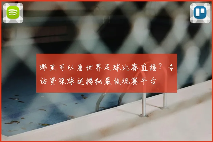 哪里可以看世界足球比赛直播？专访资深球迷揭秘最佳观赛平台