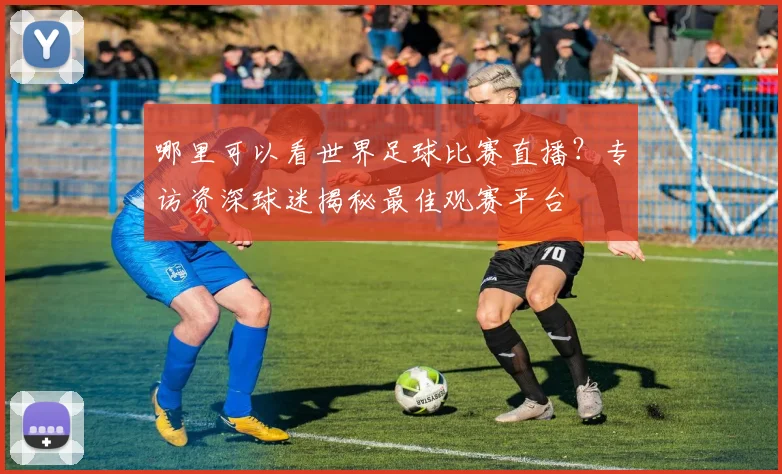 哪里可以看世界足球比赛直播?专访资深球迷揭秘最佳观赛平台